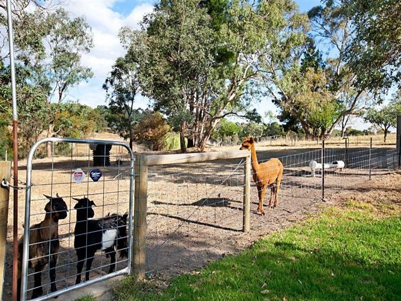 1332 Lower North East Road, Houghton SA 5131