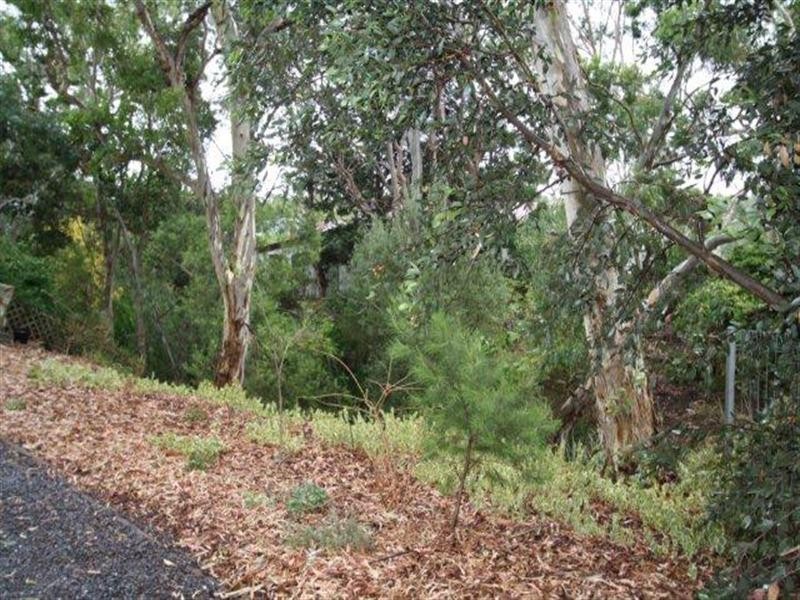 85 Haines Road, Banksia Park SA 5091