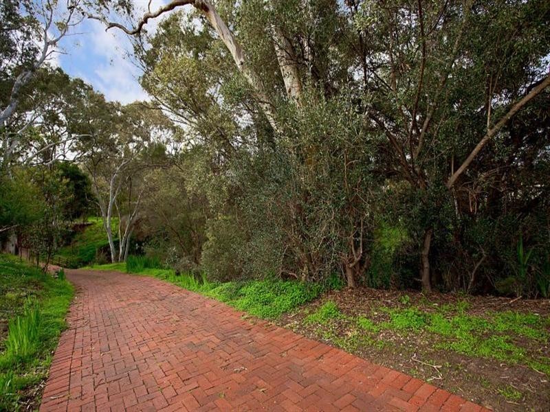 10 Oleander Drive, Banksia Park SA 5091