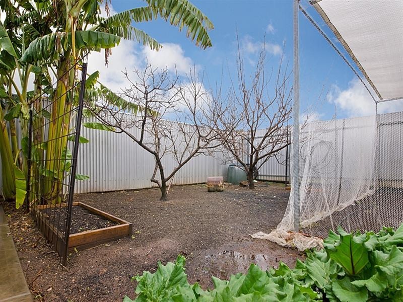 10 Brian Grove, Paradise SA 5075