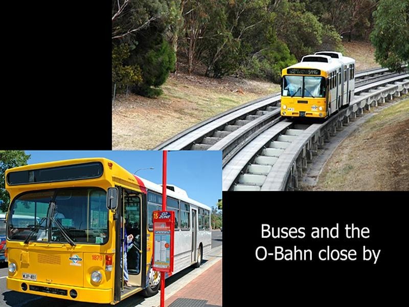 10 Brian Grove, Paradise SA 5075