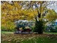 91 Derwent Terrace, New Norfolk TAS 7140