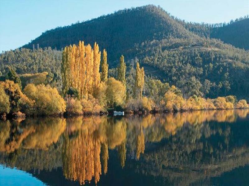 91 Derwent Terrace, New Norfolk TAS 7140