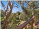 12 Pam Street, Beaumont SA 5066