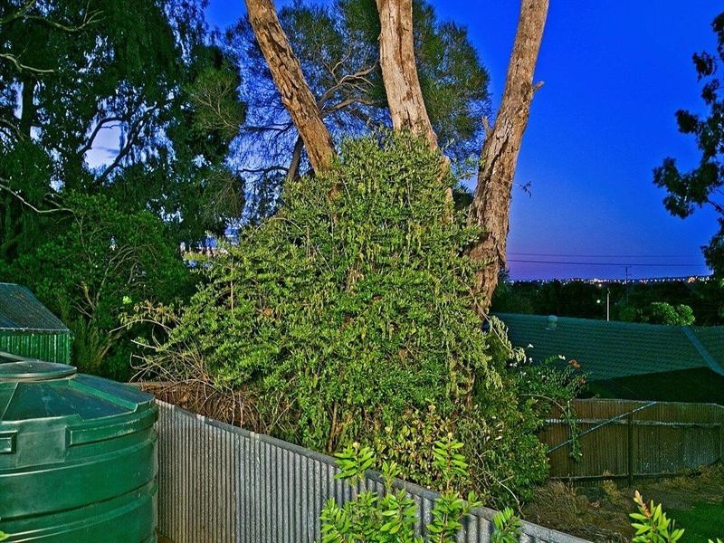 10 Giddings Avenue, Tea Tree Gully SA 5091