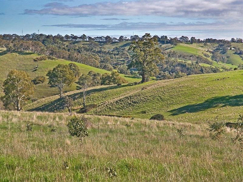 77C Chapman Road, Inglewood SA 5133