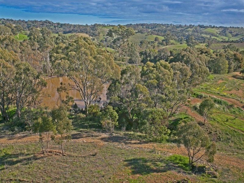 77C Chapman Road, Inglewood SA 5133