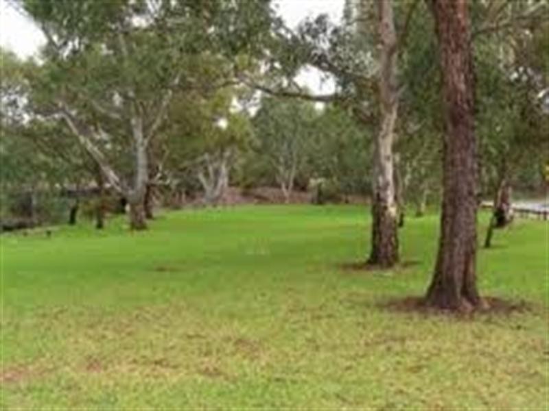 9 Fry Terrace, Newton SA 5074