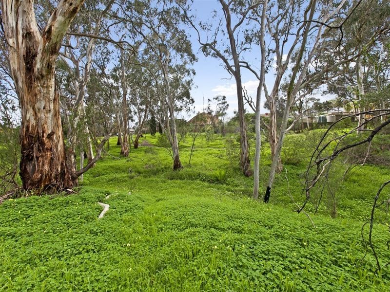 48 Mataro Road, Hope Valley SA 5090