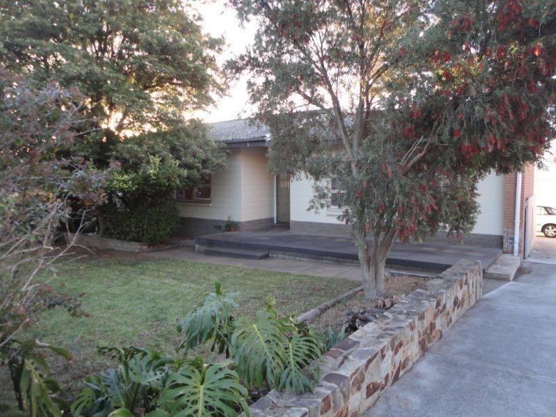 19 Oak Avenue, Clovelly Park SA 5042