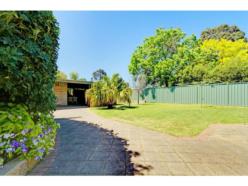 8 Ferry Avenue, Plympton Park SA 5038