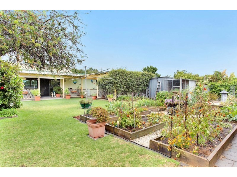 27 Barry Road, Oaklands Park SA 5046