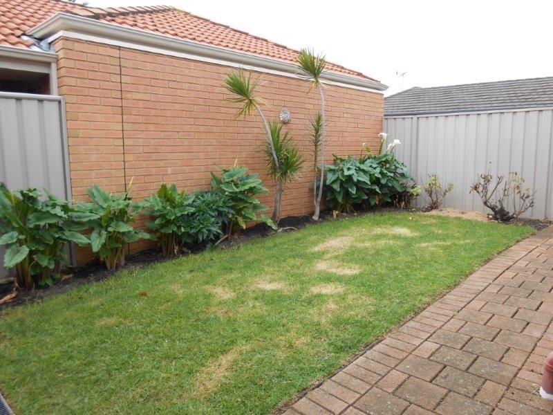 14B Bradley Grove, Mitchell Park SA 5043
