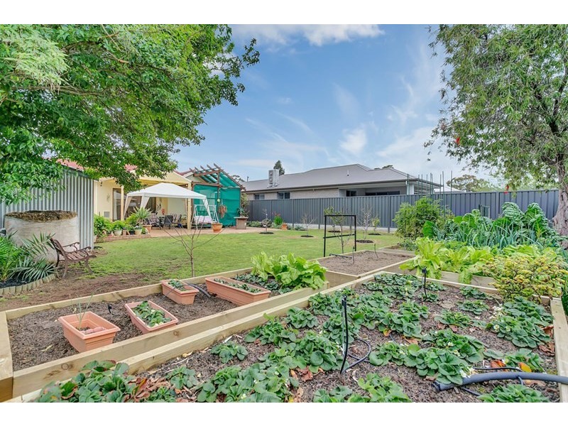 13 Vinall Street, Dover Gardens SA 5048