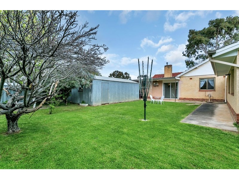 31 Ballara Avenue, Warradale SA 5046