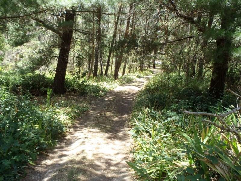 Lot 84 Longwood Road, Bradbury SA 5153