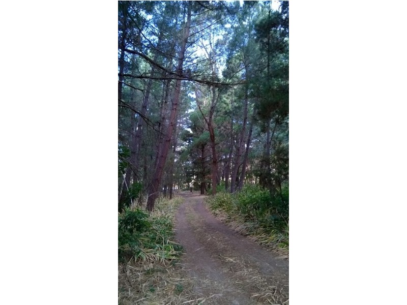 Lot 84 Longwood Road, Bradbury SA 5153