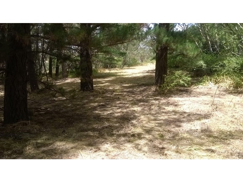 Lot 84 Longwood Road, Bradbury SA 5153