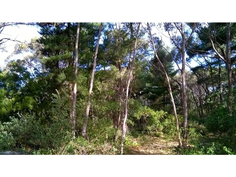 Lot 84 Longwood Road, Bradbury SA 5153