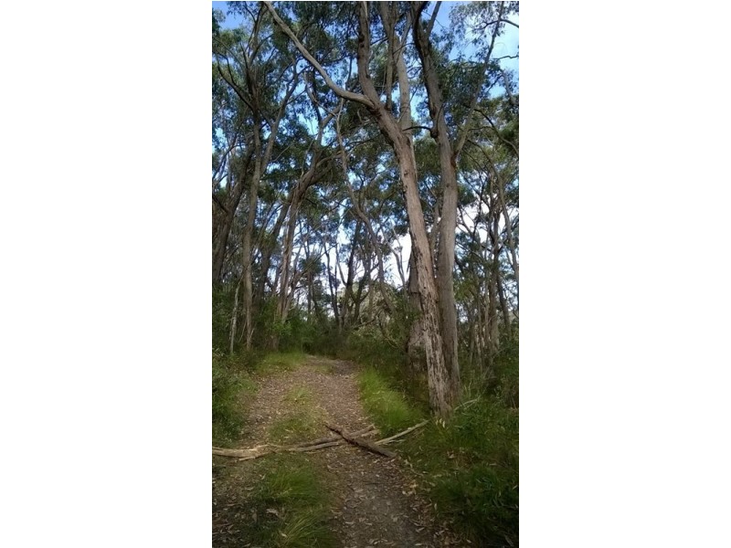 Lot 84 Longwood Road, Bradbury SA 5153