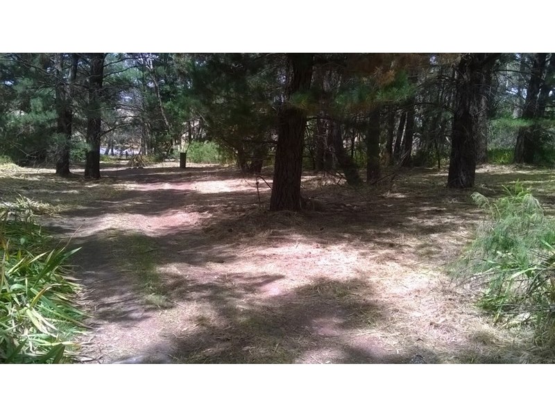 Lot 84 Longwood Road, Bradbury SA 5153