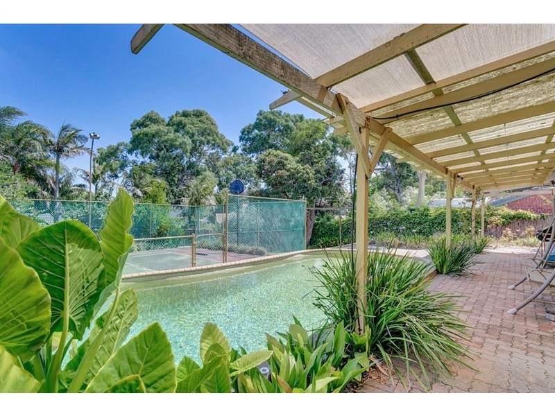 17 Lulworth Place, Flagstaff Hill SA 5159