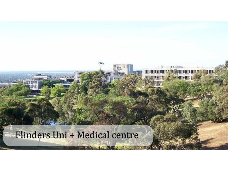 19 Parson Street, Sturt SA 5047