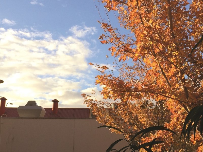 2/14 Catherine Helen Spence Street, Adelaide SA 5000