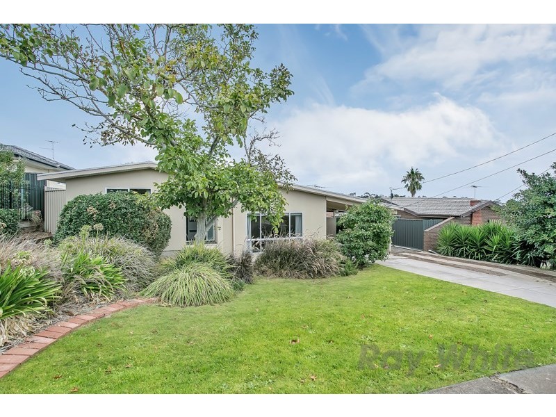 13 Kanangra Road, Seaview Downs SA 5049