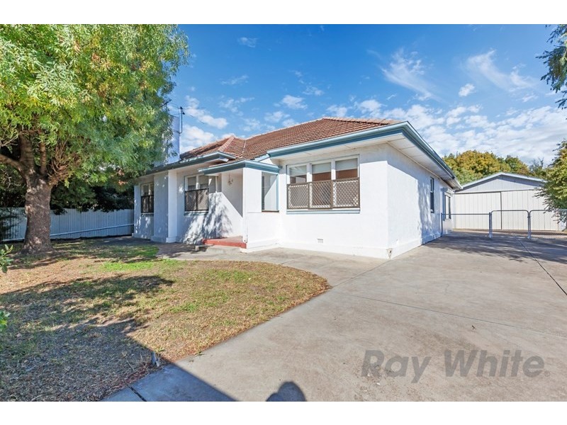 56 Angus Avenue, Edwardstown SA 5039