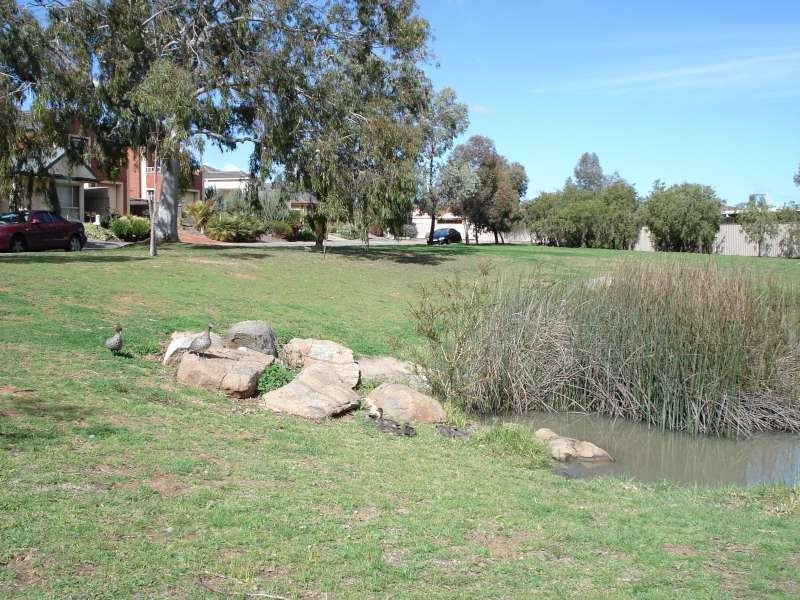 16 Timothy Court, Mitchell Park SA 5043