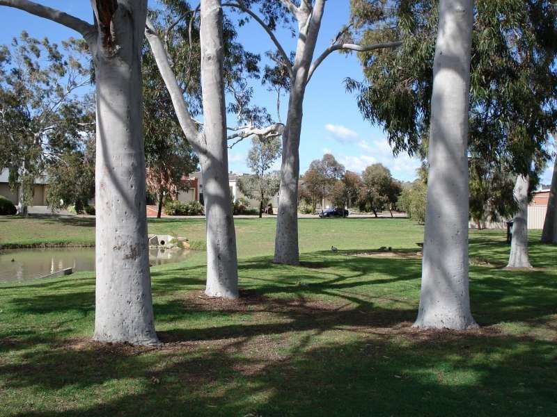 16 Timothy Court, Mitchell Park SA 5043