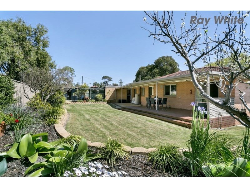 41 Beckman Avenue, Highbury SA 5089