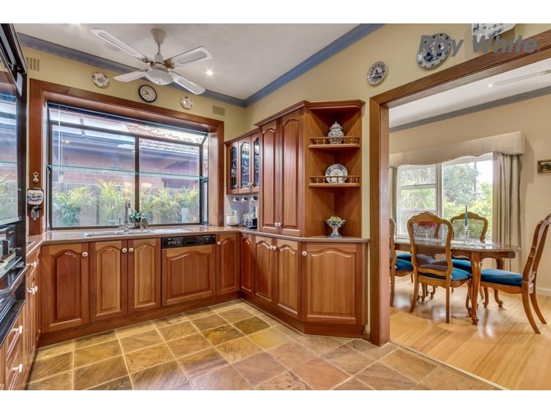 20 Abbeville Terrace, Marion SA 5043