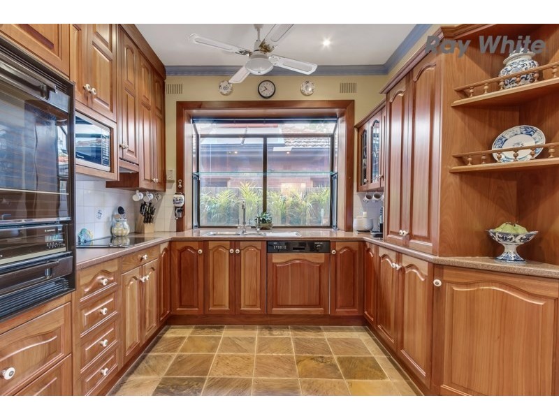 20 Abbeville Terrace, Marion SA 5043