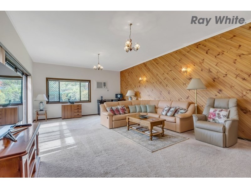 20 Abbeville Terrace, Marion SA 5043