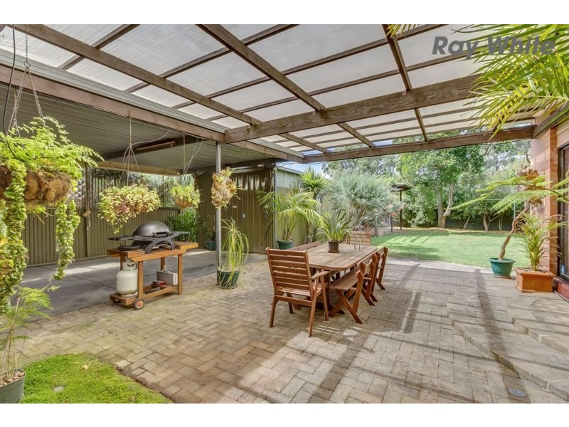 20 Abbeville Terrace, Marion SA 5043