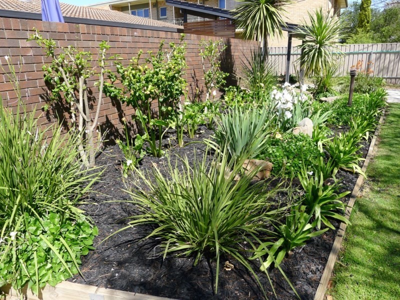 1/23 Thames Street, Clarence Park SA 5034