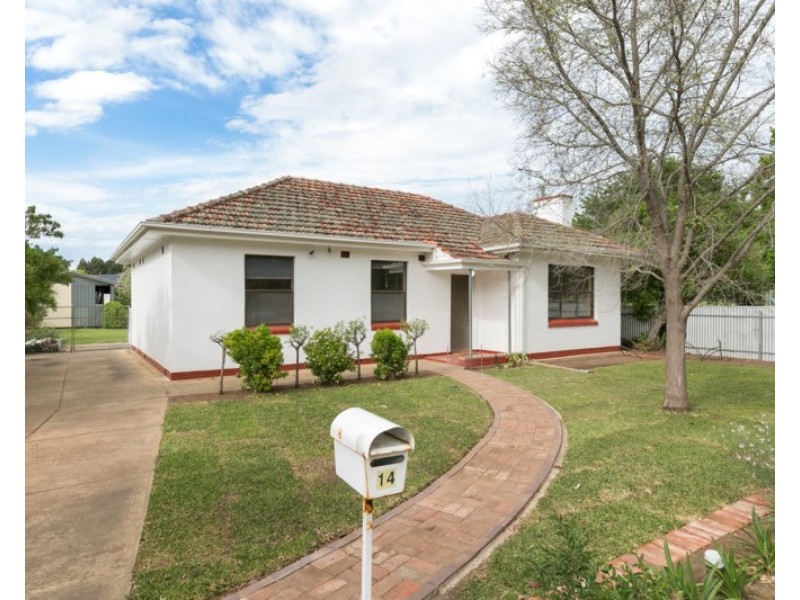 14 Tait Avenue, Marion SA 5043