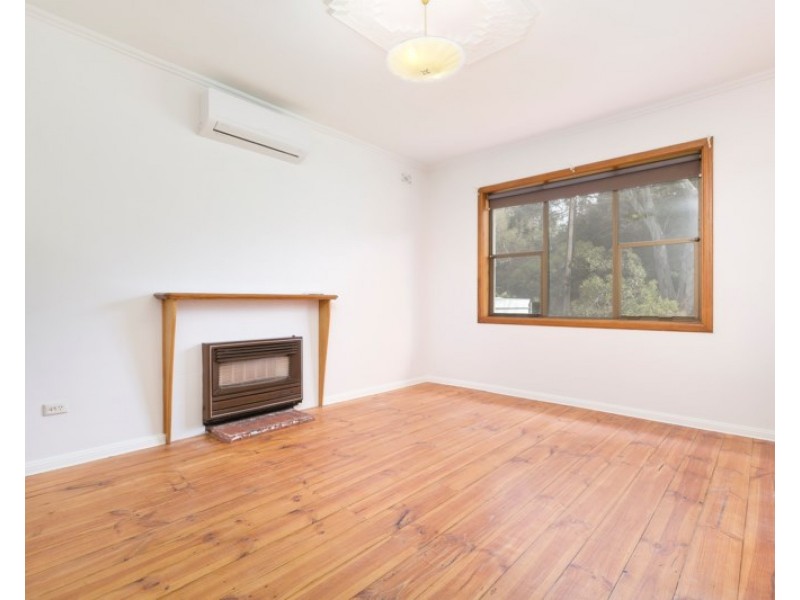 14 Tait Avenue, Marion SA 5043