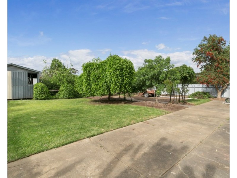 14 Tait Avenue, Marion SA 5043