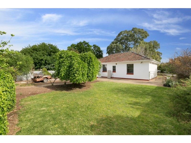 14 Tait Avenue, Marion SA 5043