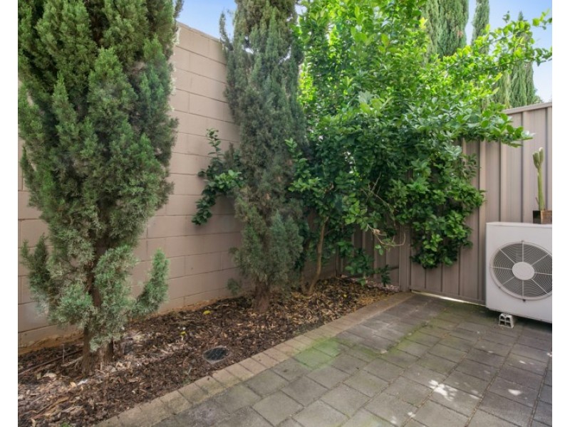 9/82a Walkerville Terrace, Walkerville SA 5081