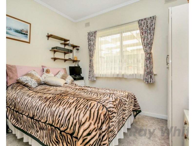 4 Newton Avenue, Clovelly Park SA 5042