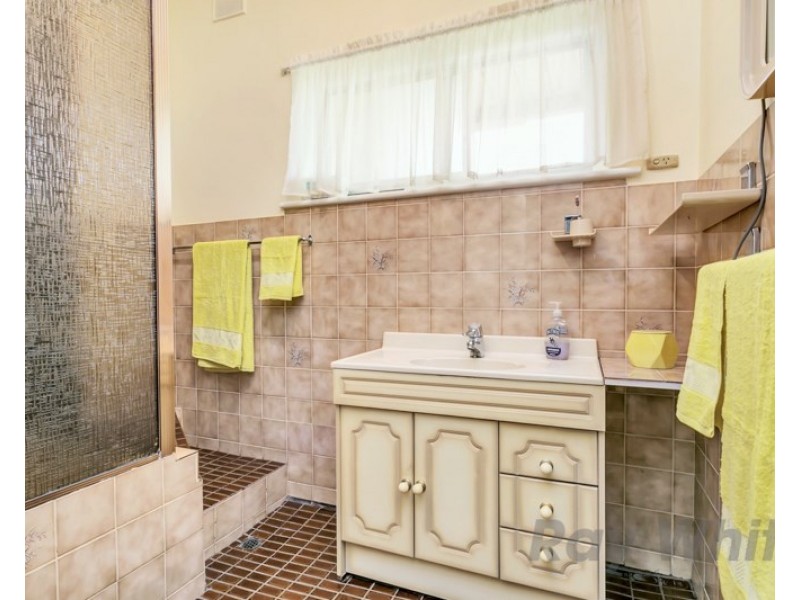 4 Newton Avenue, Clovelly Park SA 5042
