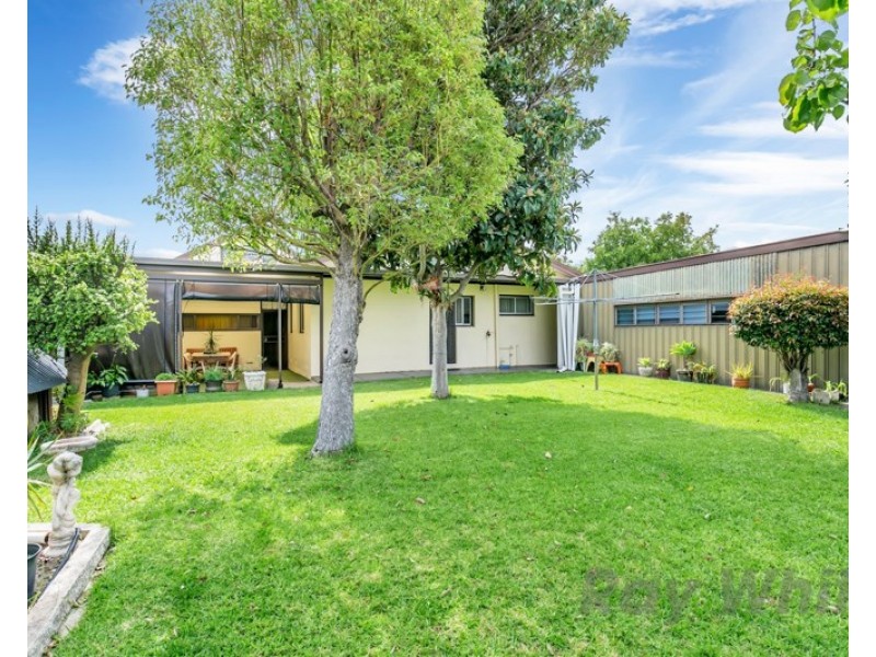 4 Newton Avenue, Clovelly Park SA 5042