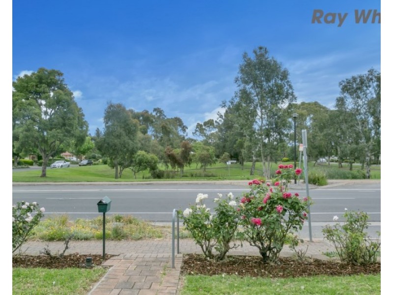 14B Bradley Grove, Mitchell Park SA 5043