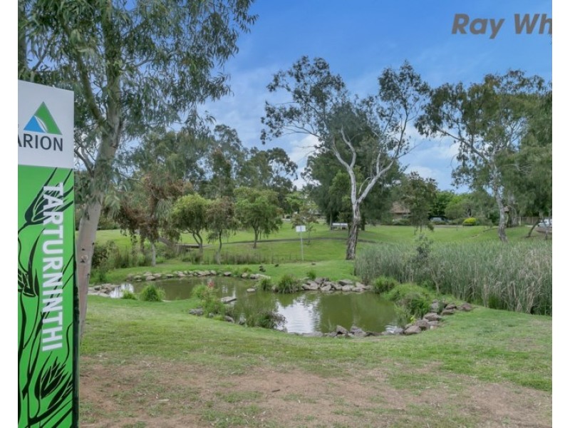 14B Bradley Grove, Mitchell Park SA 5043