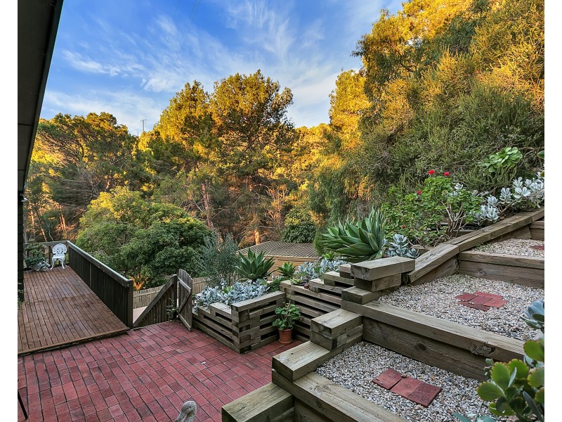 18 Weemala Drive, Mitcham SA 5062