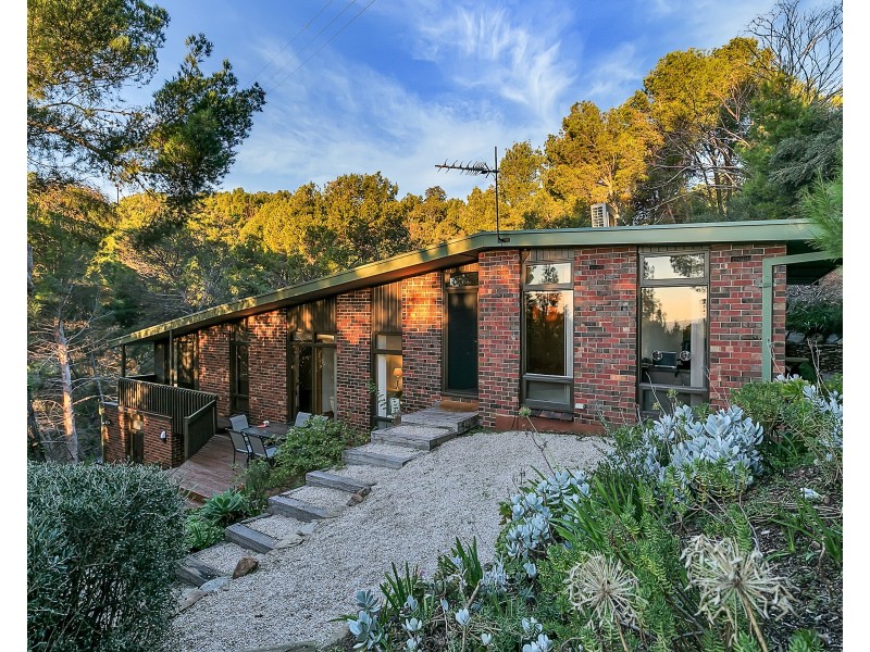 18 Weemala Drive, Mitcham SA 5062